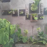 Tirta Sari House