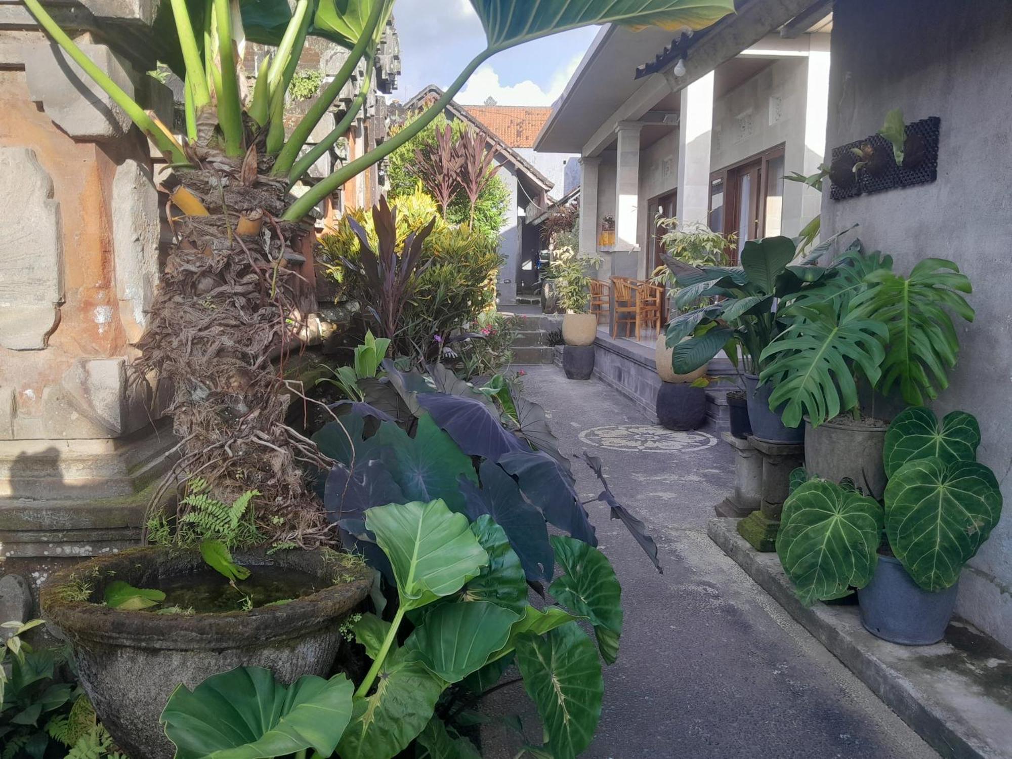 Affittacamere Tirta Sari House