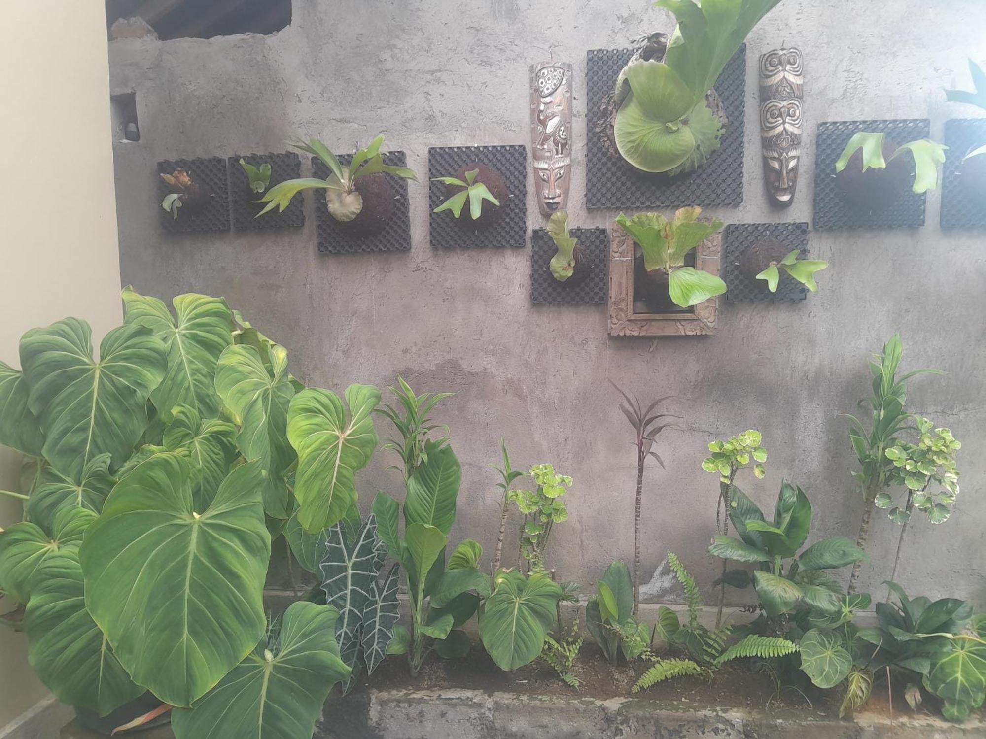 Tirta Sari House Guest house *