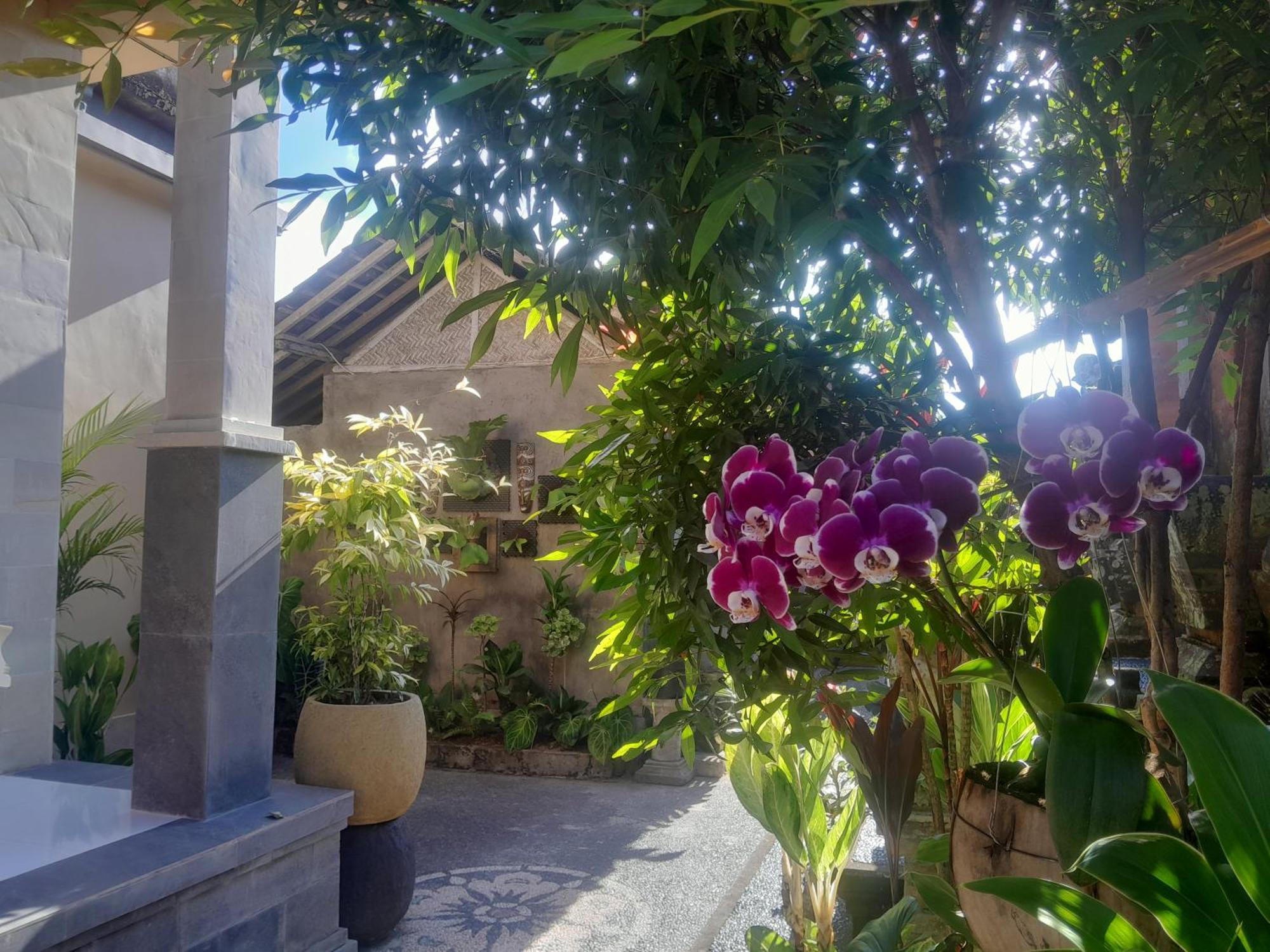 Tirta Sari House